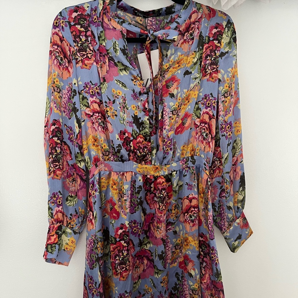 Zara Multicolor Floral Long Sleeve Dress